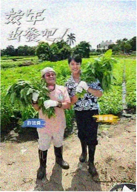 演出规则手记配图
